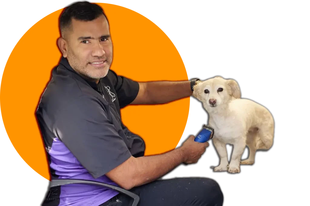 biribiribiri