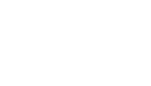 edward pet grooming 02